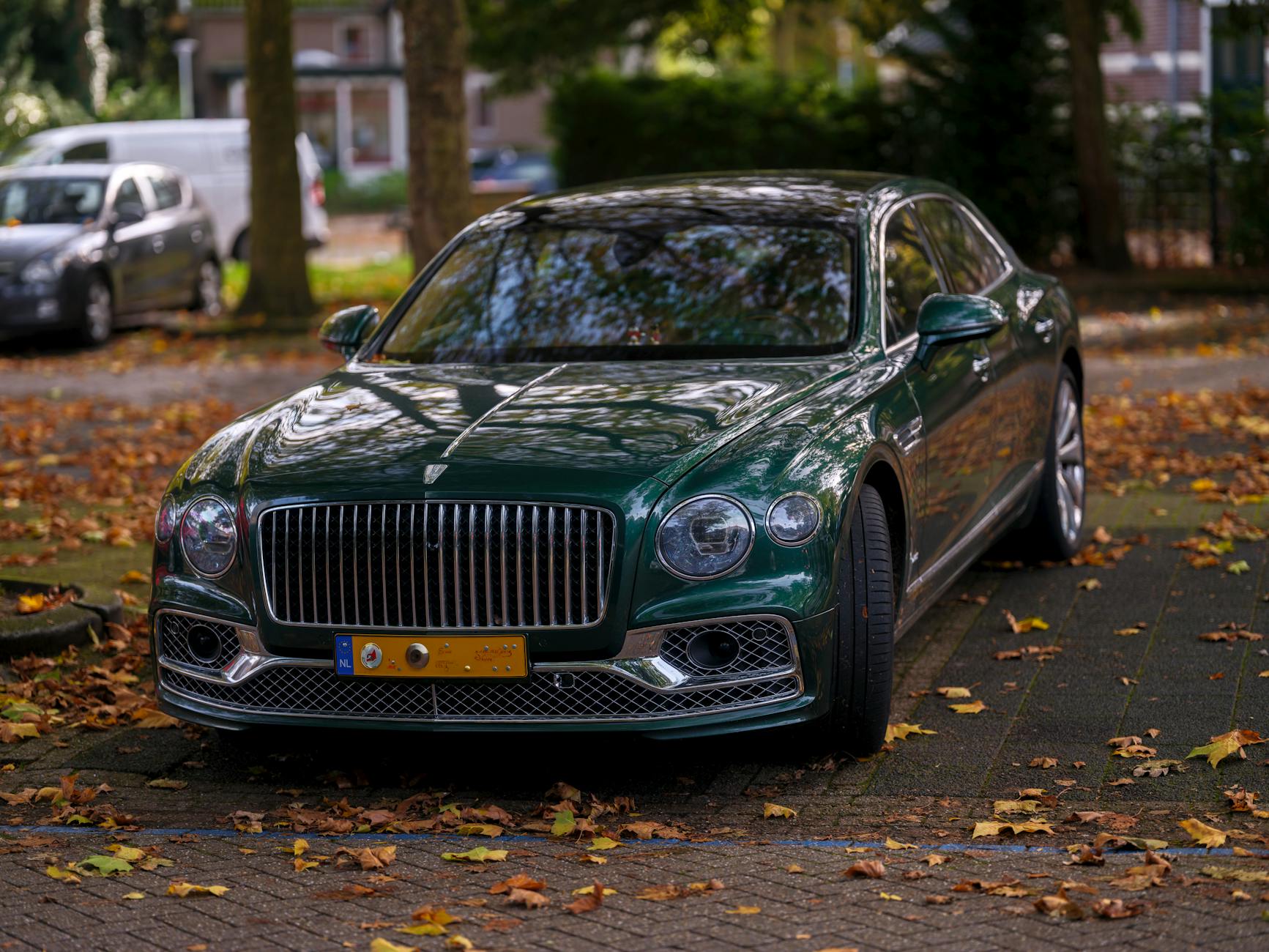 Cixebifiormanagement